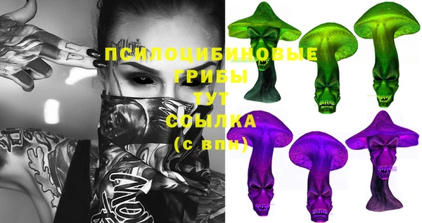 стаф Богородицк