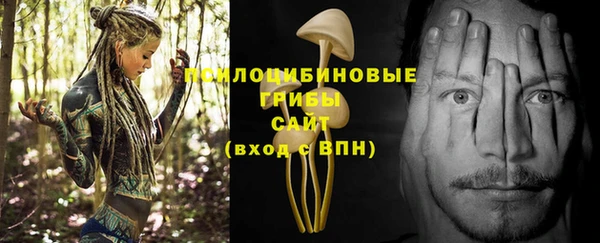 стаф Богородицк