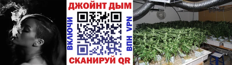 Купить где  Лахденпохья  Конопля AK-47 